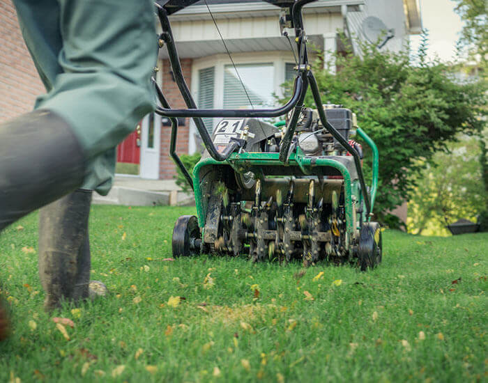 Lawn Fertilizing
